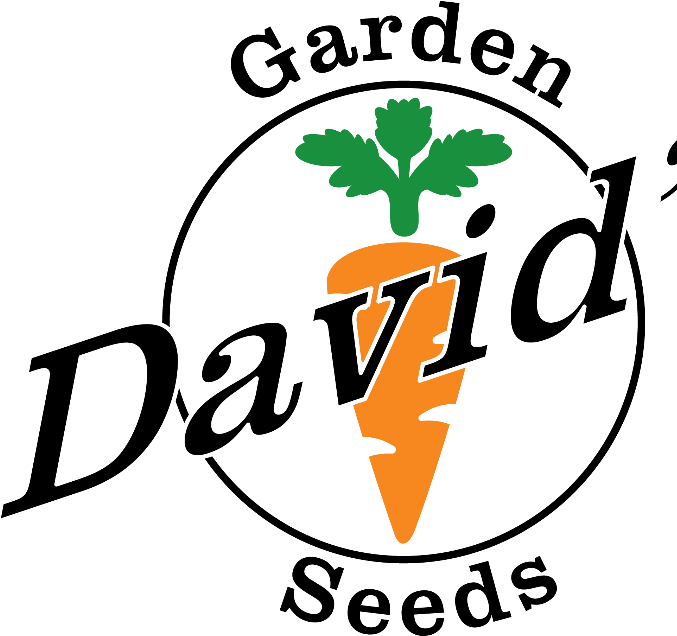 Seed (676x676)