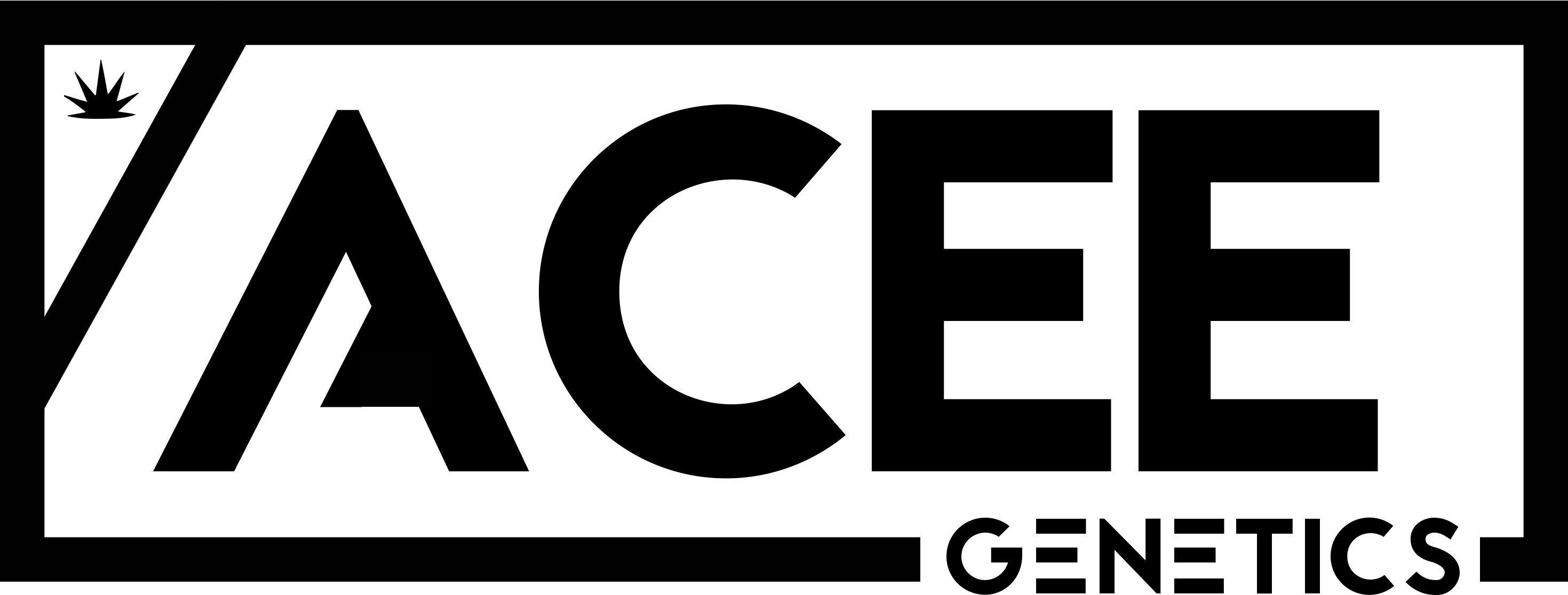 Acee Genetics Logo - Graphic Design (2939x1116)