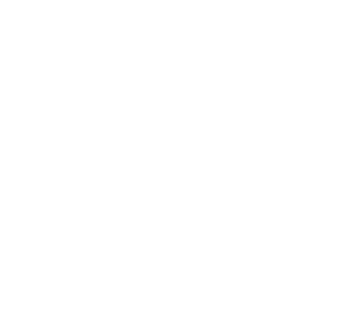 0 Корзина - China Ecommerce (512x512)