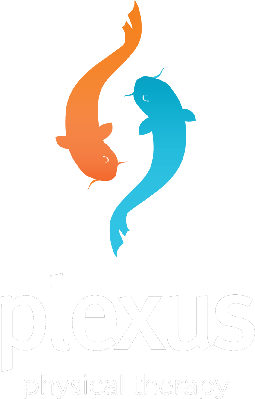 Plexus Physical Therapy - Plexus Physical Therapy (1000x1508)