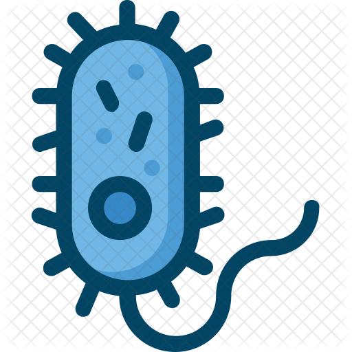 Bacteria Icon - Bacteria Icon (512x512)