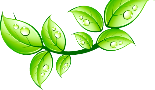 Leaf - Internet (495x288)