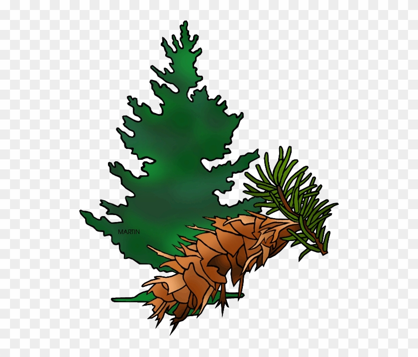 Fir Tree Clipart Douglas Fir - State Tree Of Oregon #1243