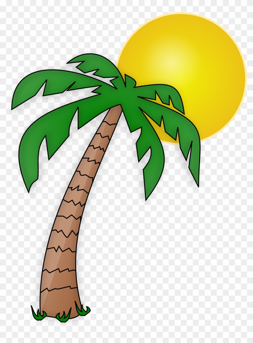 See Here New 2018 Free Pictures Download Palm Tree - See Here New 2018 Free Pictures Download Palm Tree #173