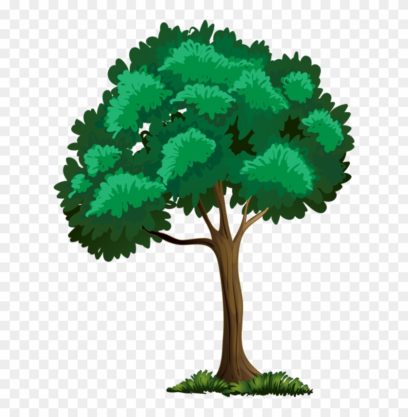 Trees ‿✿⁀°••○ - Arbre Clipart Png #1699