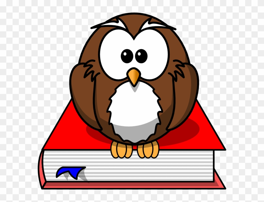 Smart Owl Clip Art At Clker - Cartoon Owl Shower Curtain #1766