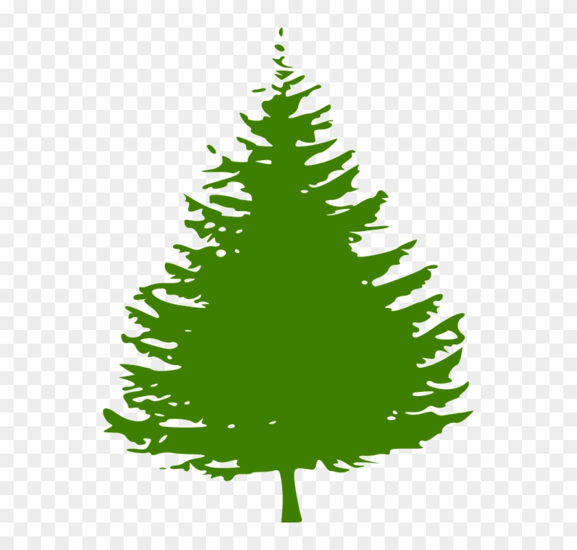Pine Clipart Fir Tree - Fir Tree Clip Art #2293