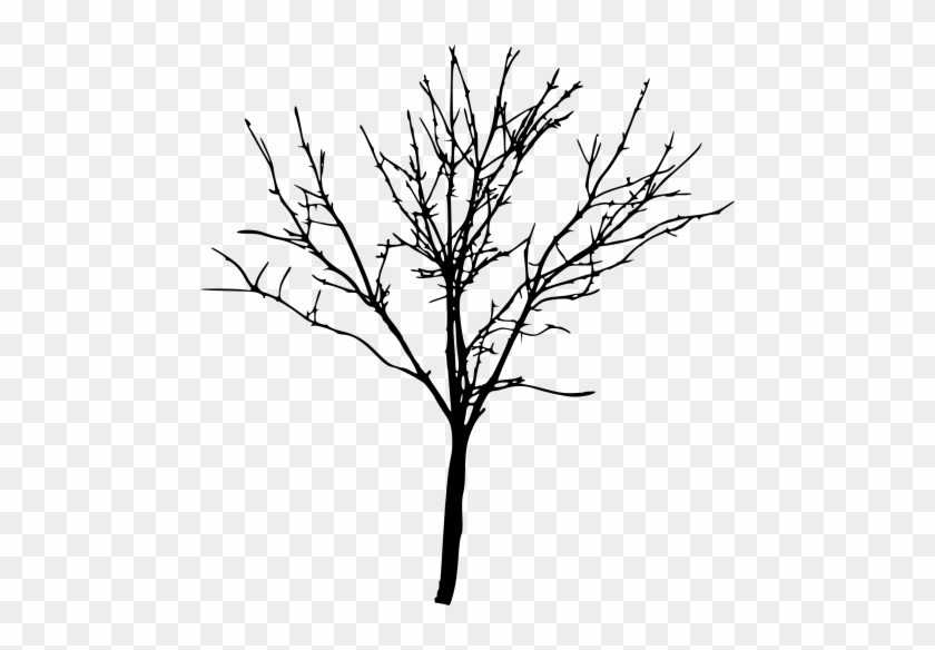 Free Png Simple Bare Tree Silhouette Png Images Transparent - Free Png Simple Bare Tree Silhouette Png Images Transparent #321