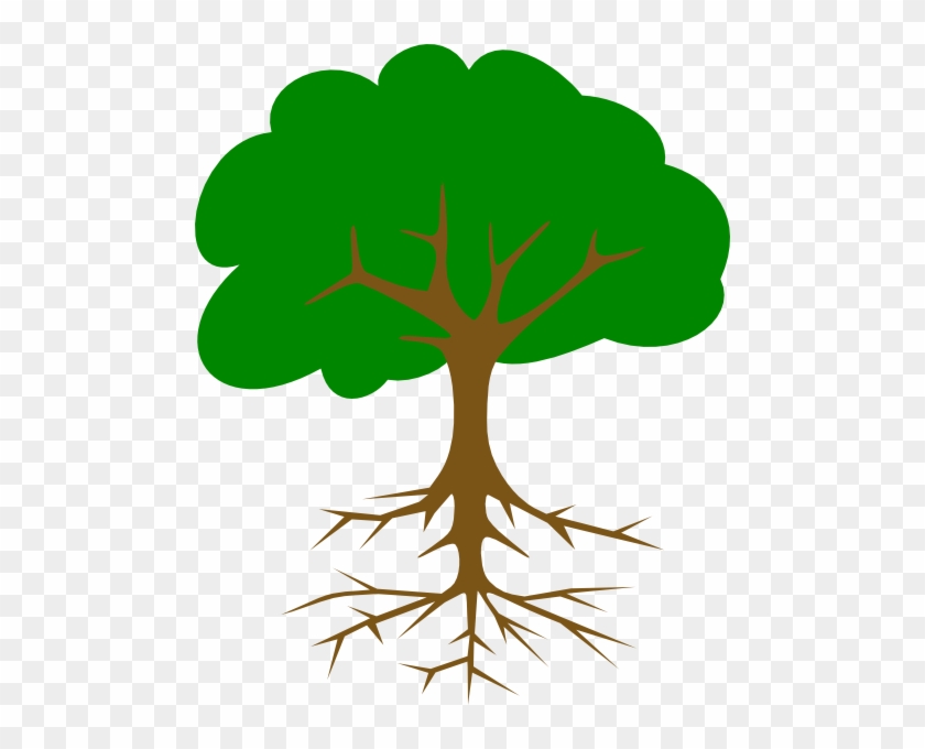 Big Tree Clipart Clip Art At Clker Com Vector Online - Tree Clip Art #3509
