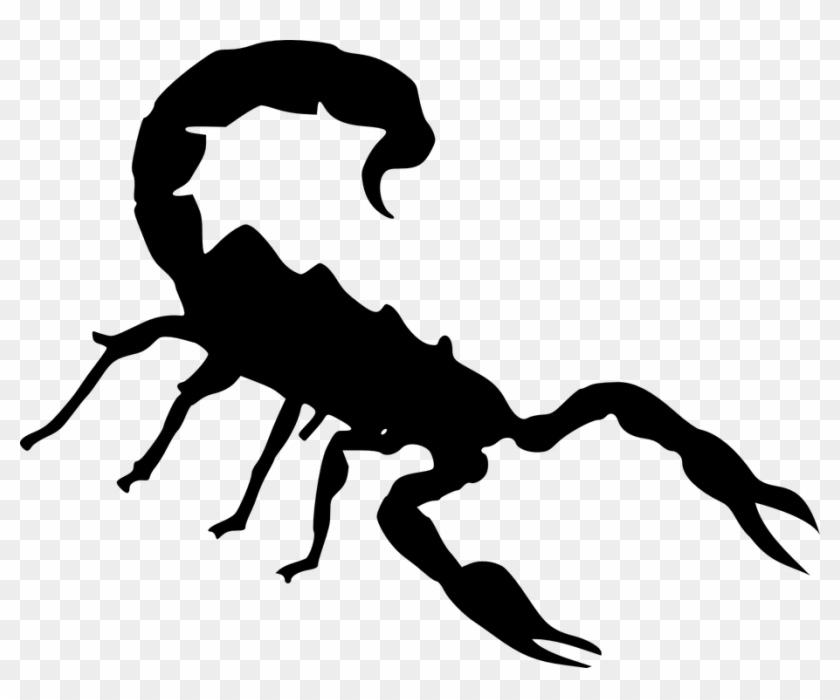 Scorpion Clipart Free Images - Scorpion Clipart #3512