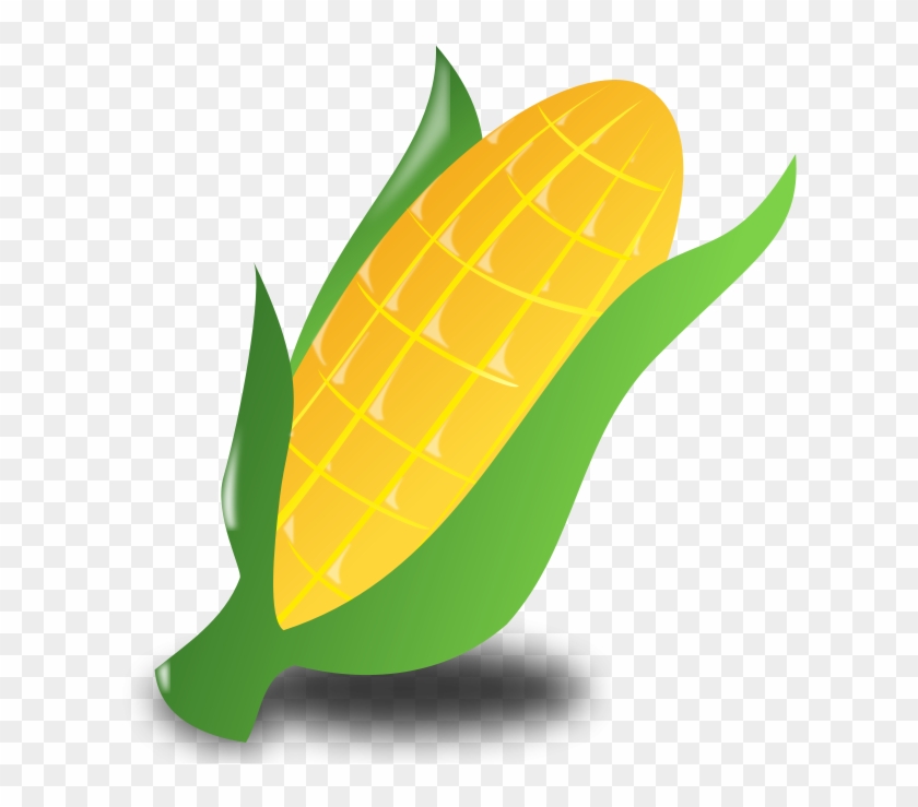 Indian Corn Clipart - Corn Clip Art #4443