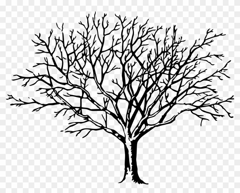 Clipart - Trees In Fall Drawing #4968
