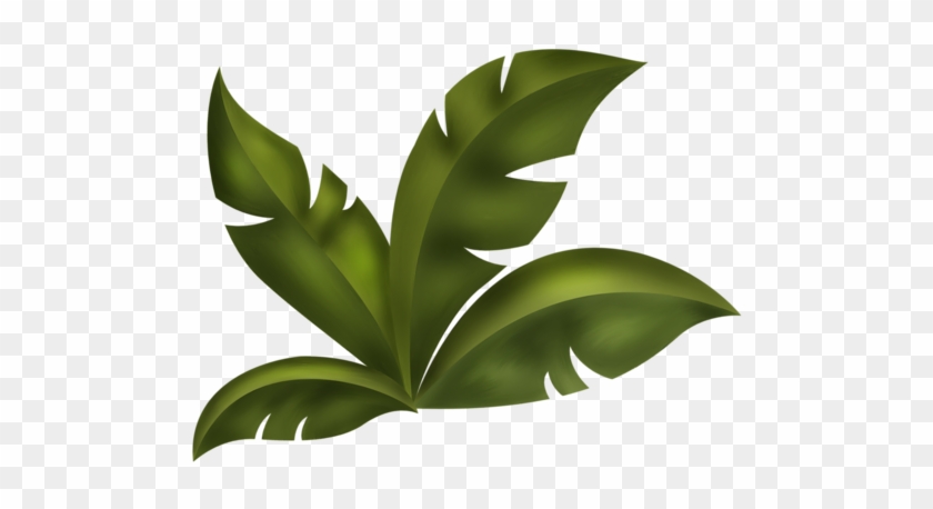 Arana Альбом «scrap Kits / Scrap Kits 13 / Sk Jungle - Jungle Leaves Clip Art #5150