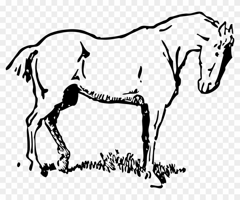 Get Notified Of Exclusive Freebies - Horse Clipart #6049
