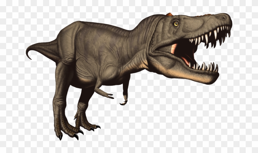 Rex Dinosaur Clip Art - Dinosaure Clipart T Rex #7035