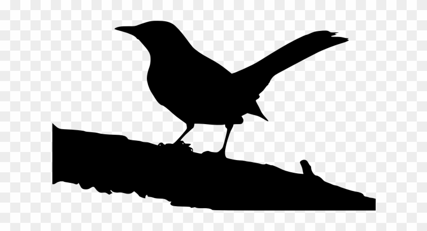 Northern Mockingbird On Tree Branch - Boo Radley Diary #706