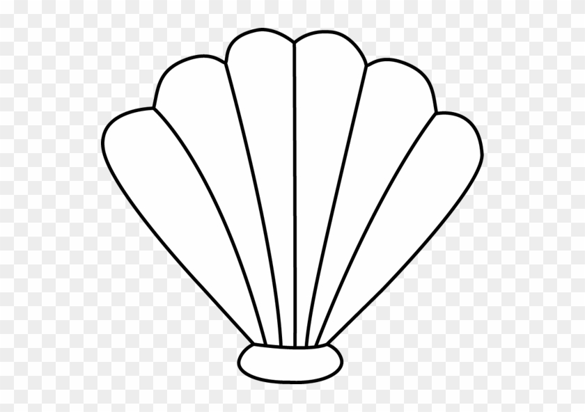 Sea Shell Clip Art - Shell Outline #7662