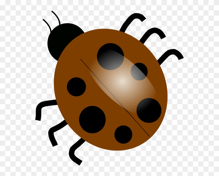 Brown Ladybugs Clip Art At Clker - Transparent Background Clip Art Bug #7779