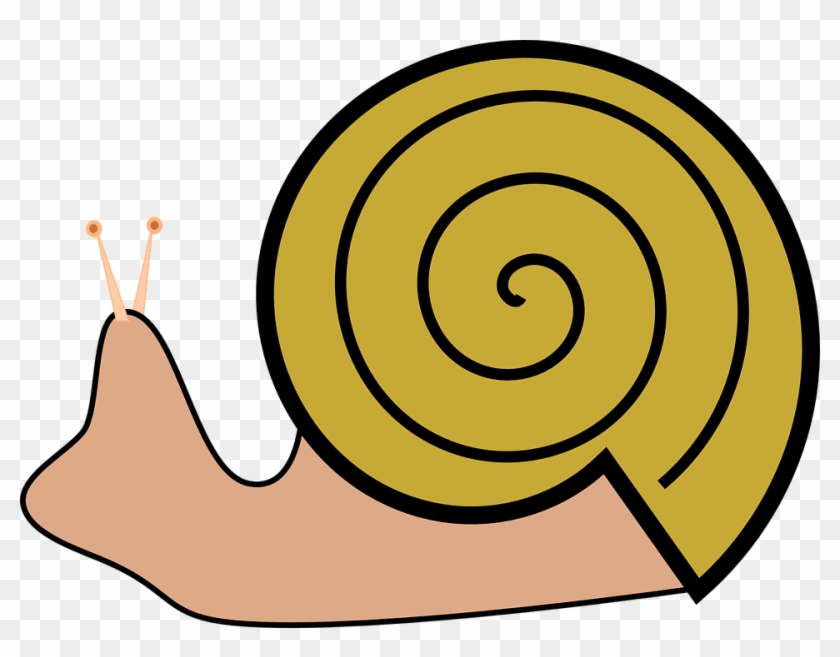 Snails Clipart #7980