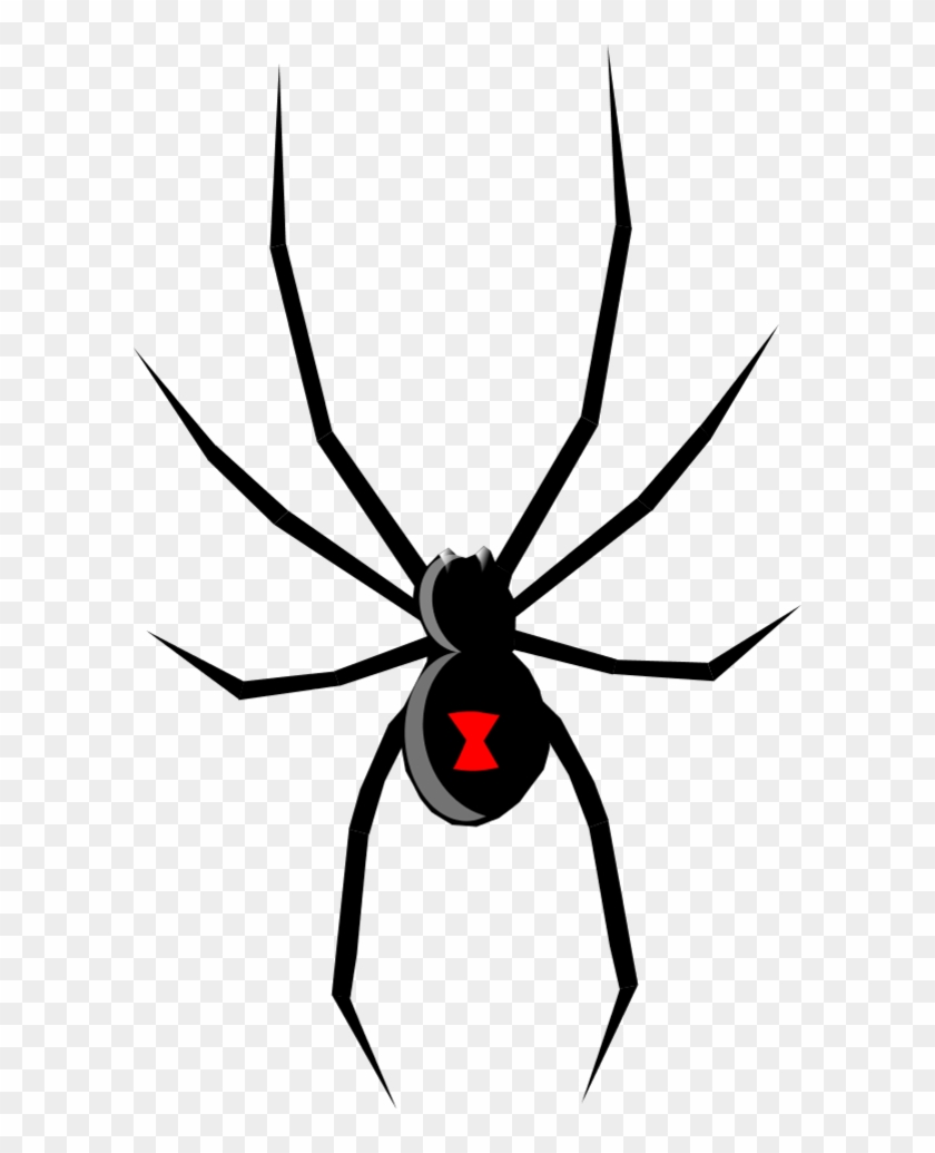 Flying Ladybug Clipart Free Download Clip Art Free - Black Widow Spider Drawing #8012