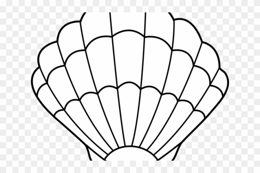 Shell Clip Art - Sea Shell Coloring Pages #8420