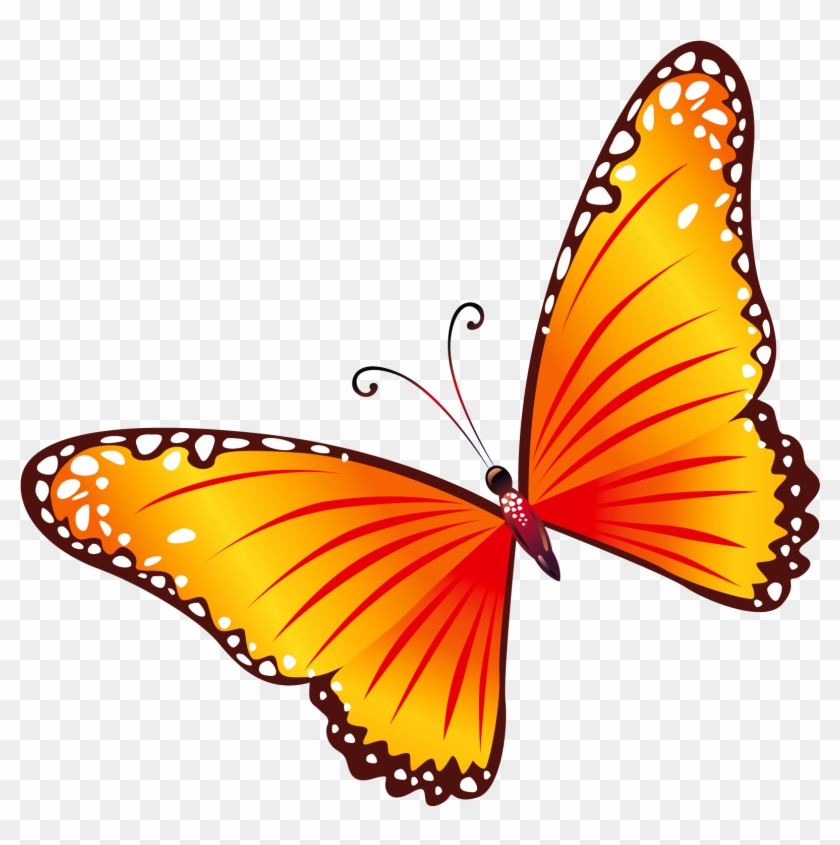 Clip Art Free Butterflies - Red And Yellow Butterfly #10527