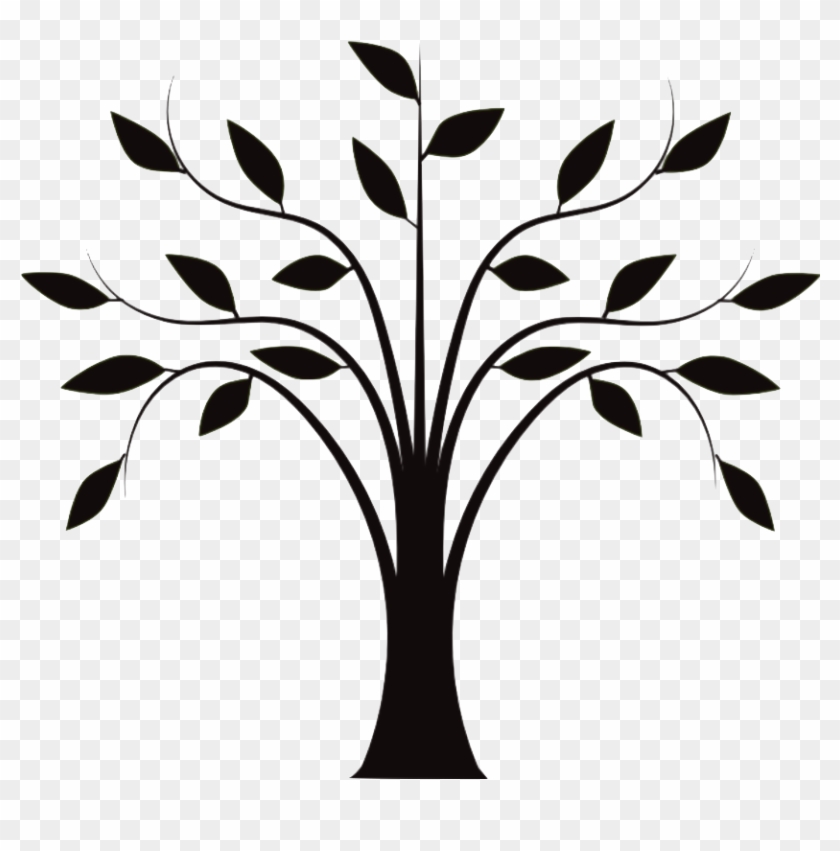 Drawing Tree Trunk Clip Art - Line Drawing Of Tree #13151