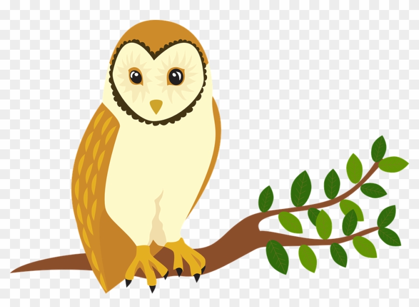 Owl Forest Animal Tree Bird - Owl #13226