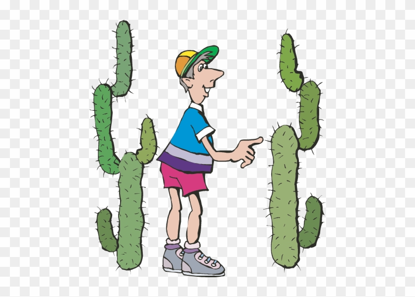 Five Senses Facts Science Trek Idaho Public Television - Sense Of Touch Clipart #13381