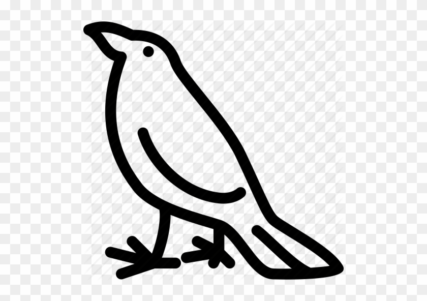 Drop, Outline, Rain, Tear, Water Icon - Guatemala #15360