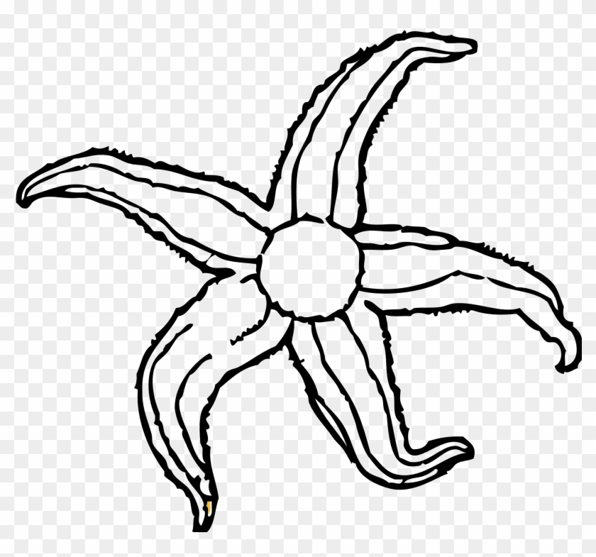 Waves Black And White Water Waves Clipart Black And - Starfish Black And White #15915