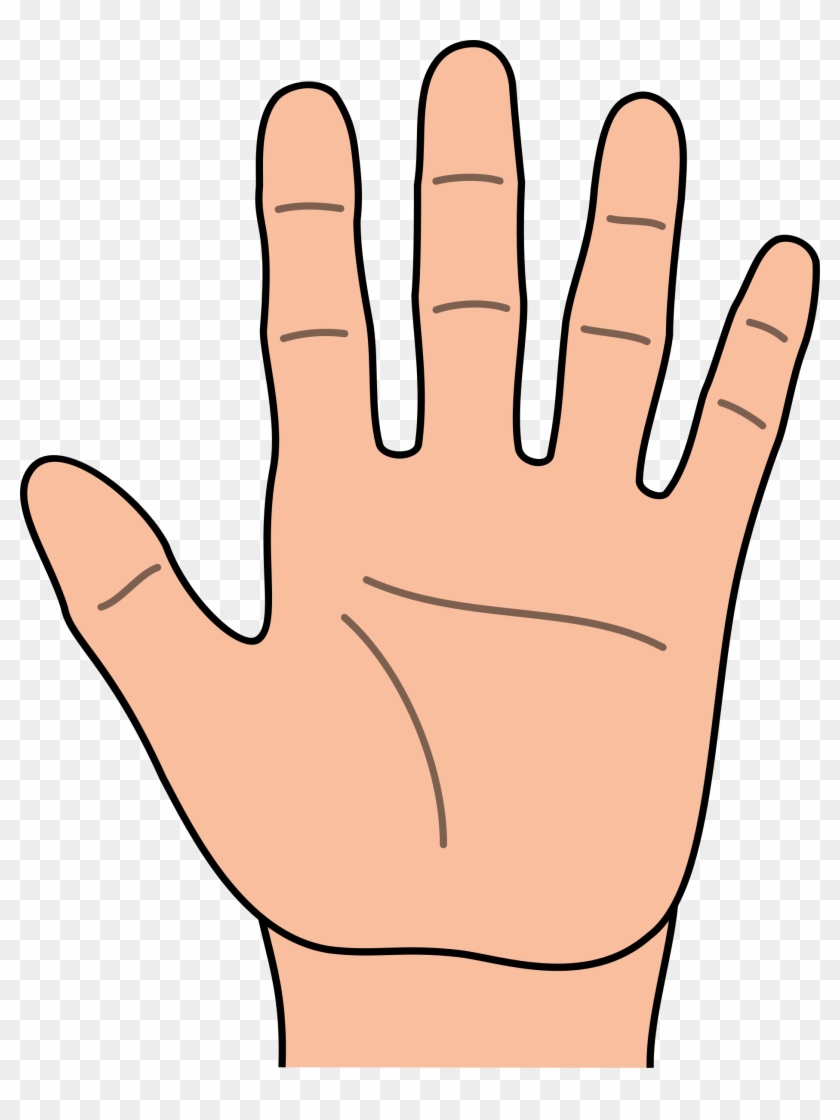 Hand Clip Art - Clipart Hand #16142