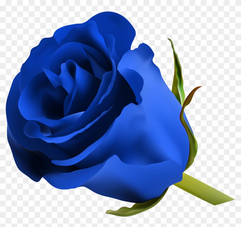 Blue Roses, Art Images, Clip Art, Pictures, Free, Beautiful, - Blue Rose Png #17263