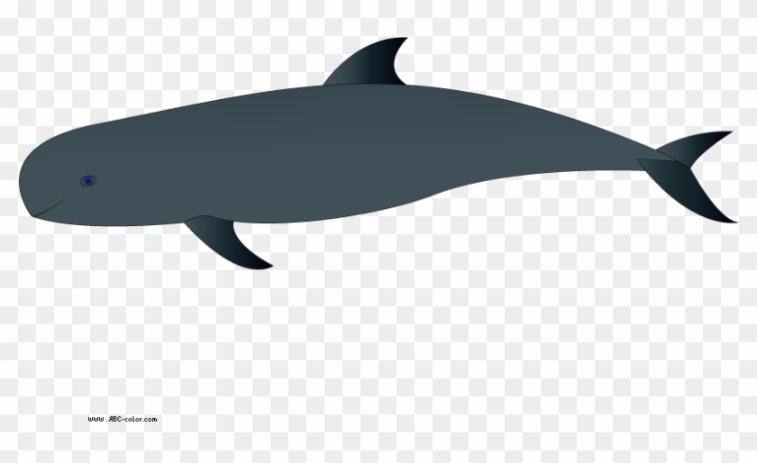 Holiday - Wholphin #17518