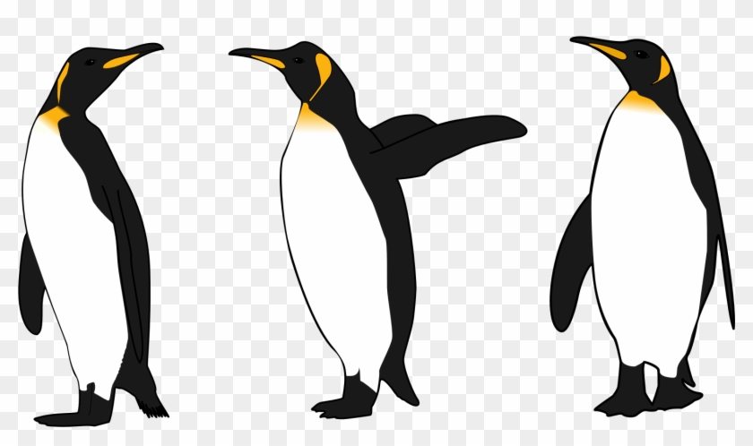 Image - Emperor Penguin Clip Art #17530