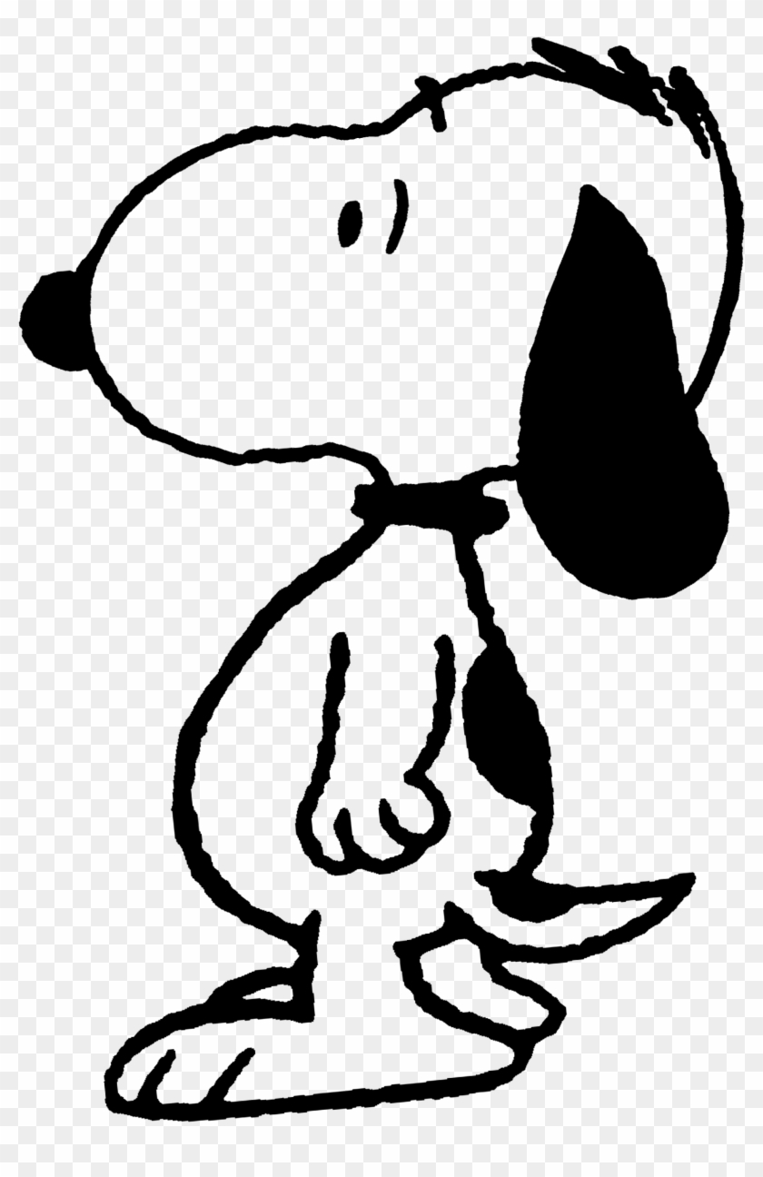 Pin By Marcus Andrew On Peanuts ❤ - Aug 9 2017 #78533