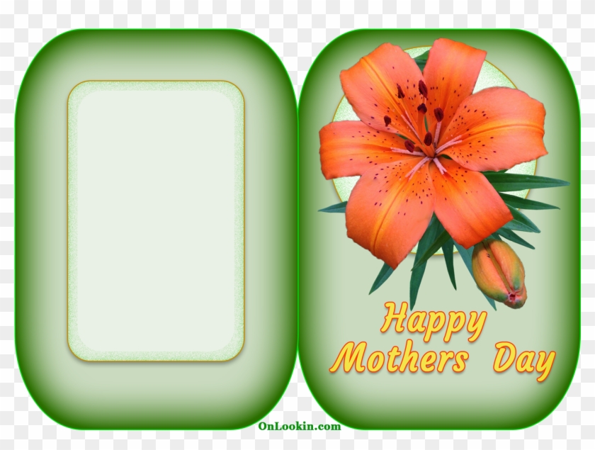 Happy Mothers Day Tiger Lily Flower - Happy Mothers Flower Cards #79831