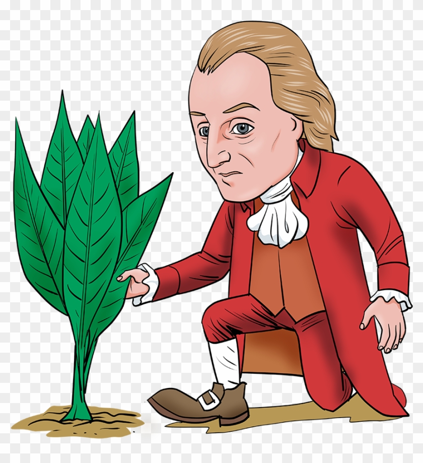 Gwplantersmall - Clip Art #80154