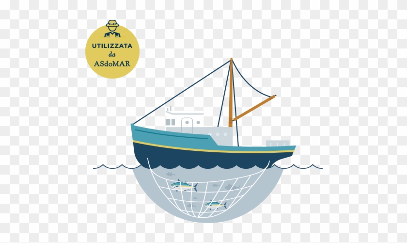 Purse Seine Fishing On Free Schools - Pesca Con Rete Da Circuizione #461698