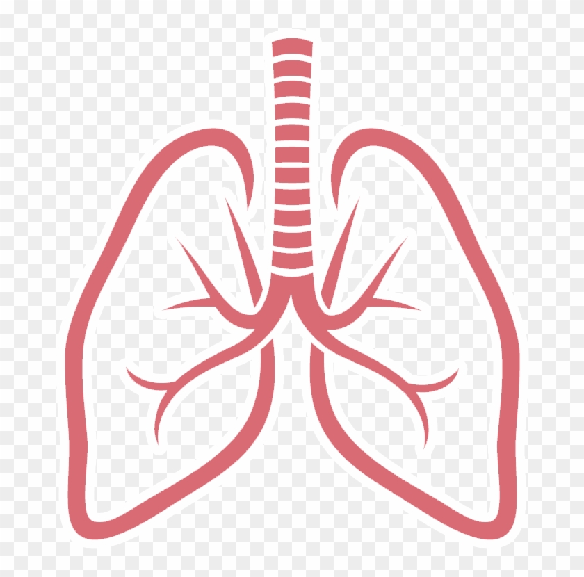 Lungs Png Picture - Best Who Would Win Memes #461851