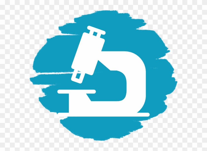 Logo Of Discovery Camps - Logo #462823