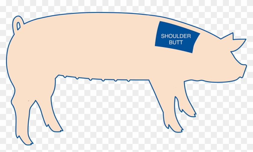 Pork Shoulder Is The Top Portion Of The Front Leg Of - Blade Steak On Pig #464006