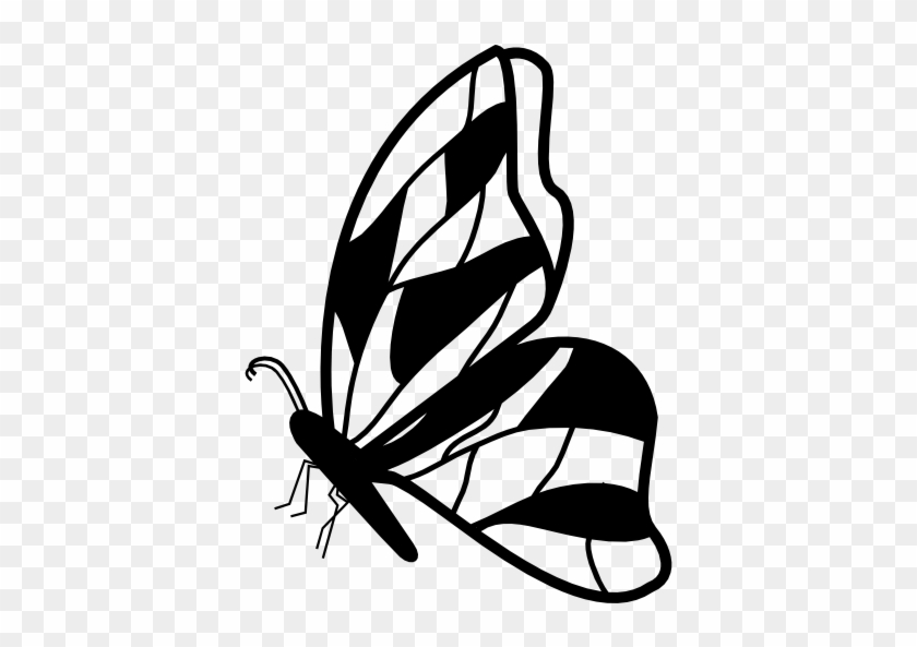 Butterfly Side View With Irregular Wings Design Vector - Butterfly Facing Left #464342