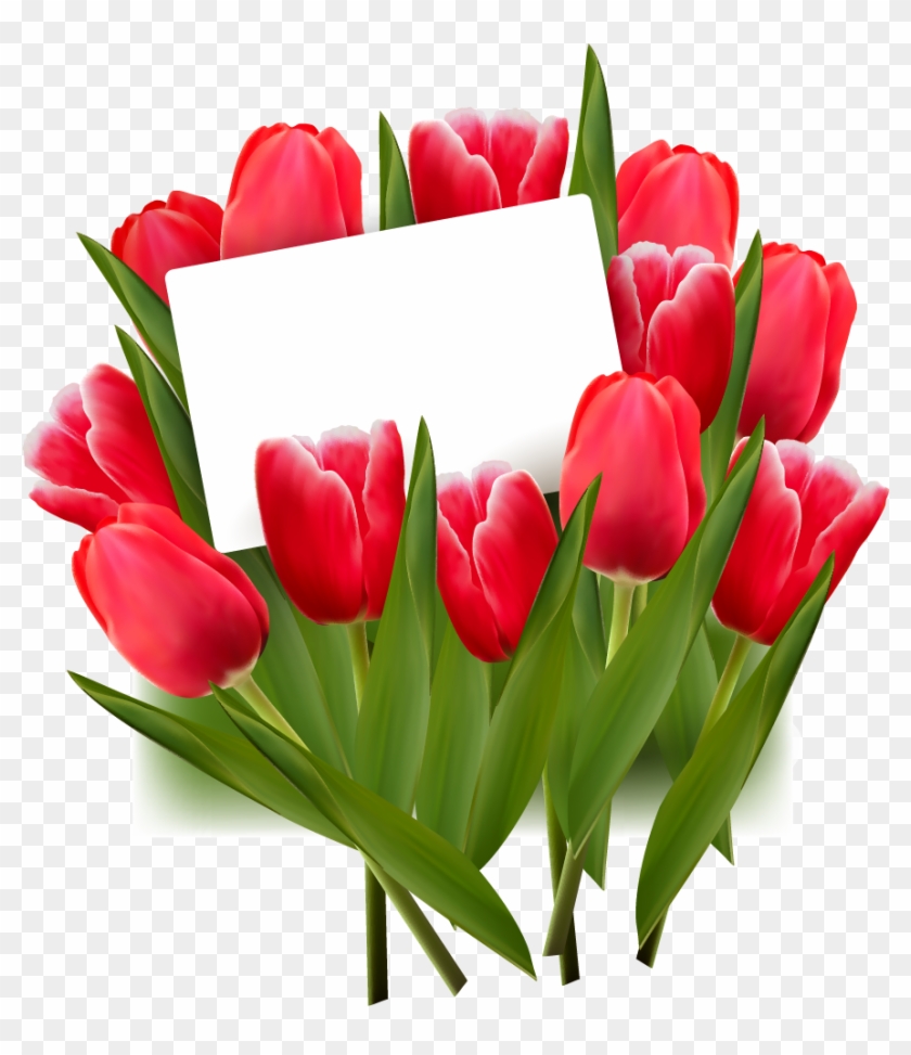 Tulips Png #464576