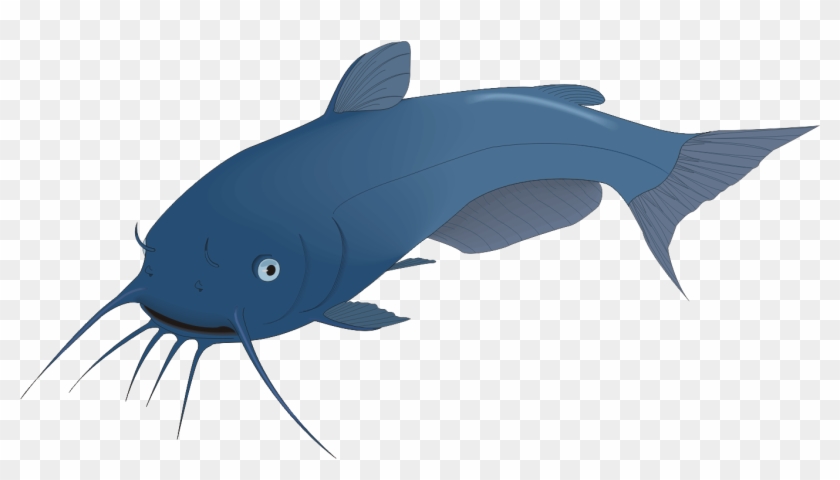 Airbreathing Catfish Walking Catfish Angling Fishing - Catfish Clip Art #464781