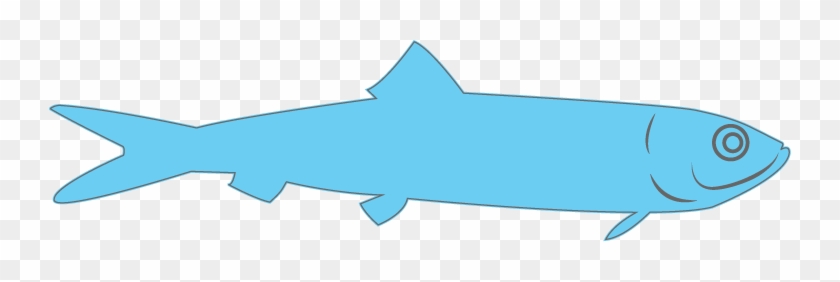 Small Fish - Seac Ab #464783