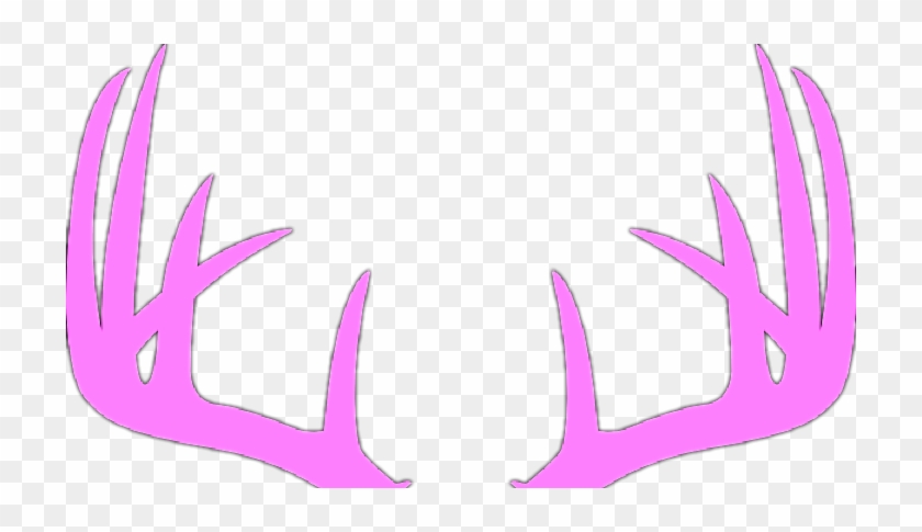 I - Love - Country - Music - Tumblr - Coat Of Arms Antlers #465758