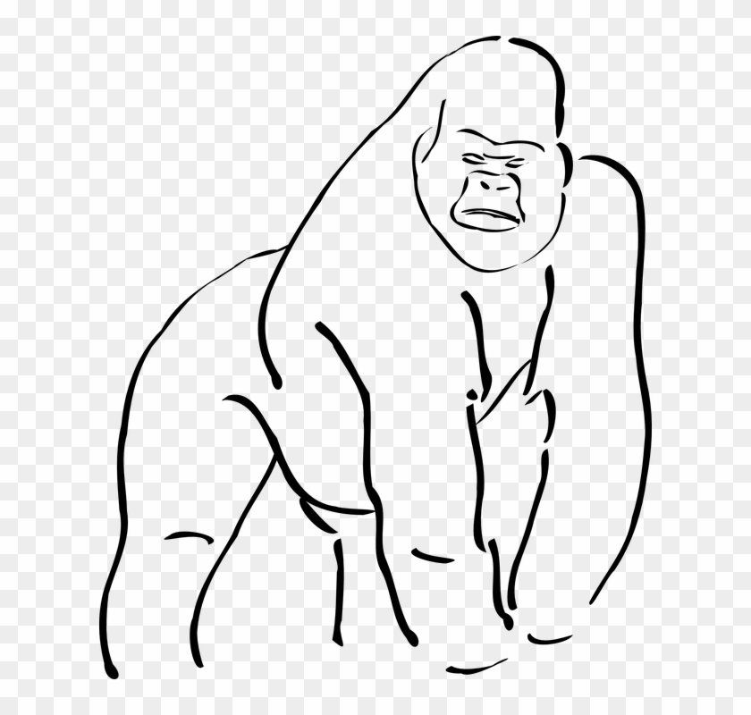 Ape Clipart - Outline Of A Gorilla #466421