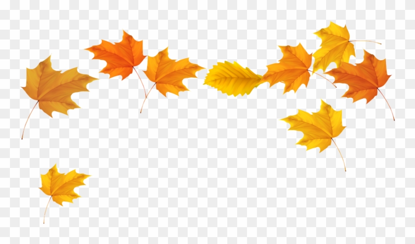 Free Images Download 2018 Leaf Clipart Black And White - Fall Leaves Transparent Background #467427
