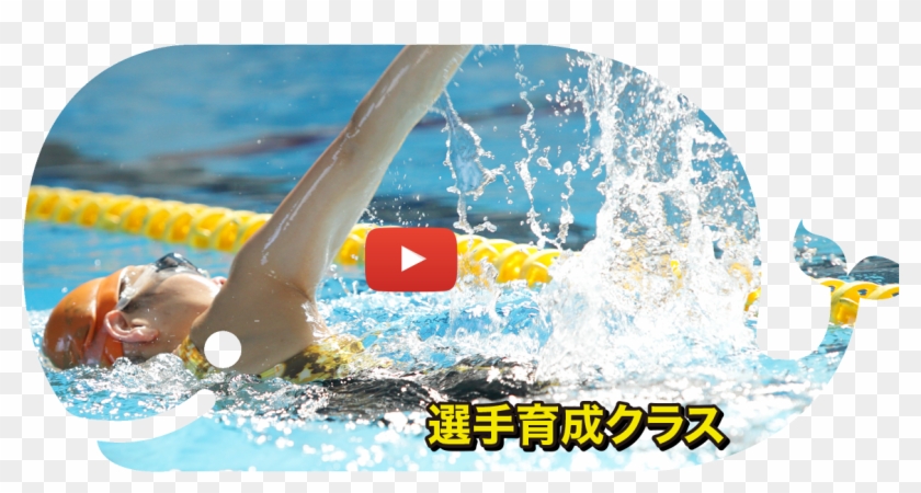 選手育成クラス - Swimming Pool #467742